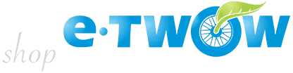 ремонт e-TWOW