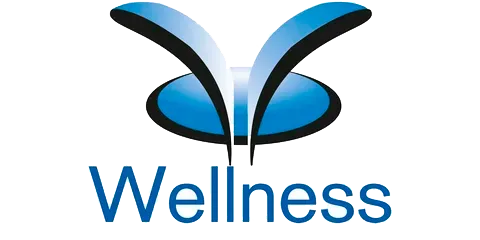 ремонт Wellness